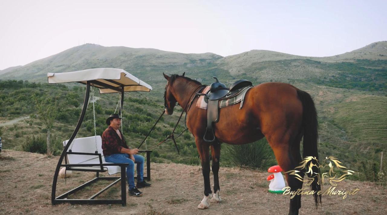 Zogaji Bujtina E Muriqit מראה חיצוני תמונה